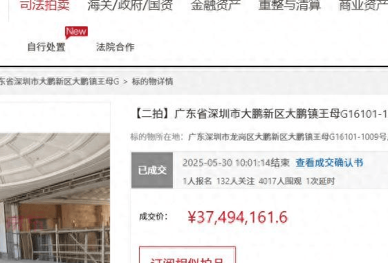 深圳半山巨宅底价成交3749万拍下十亩“